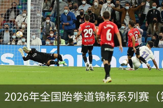 2026年全国跆拳道锦标系列赛（第二站）在广州举行